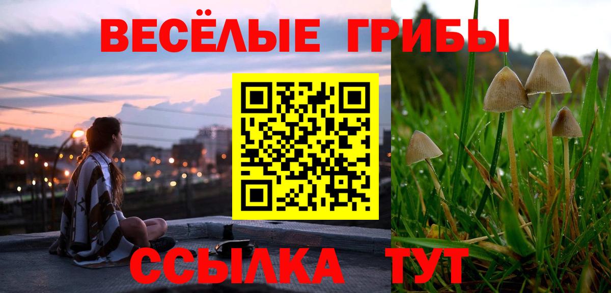 Галлюциногенные грибы Psilocybine cubensis  Вход с VPN  Десногорск  Псилоцибиновые грибы мухоморы 