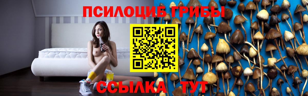 Галлюциногенные грибы GOLDEN TEACHER Десногорск